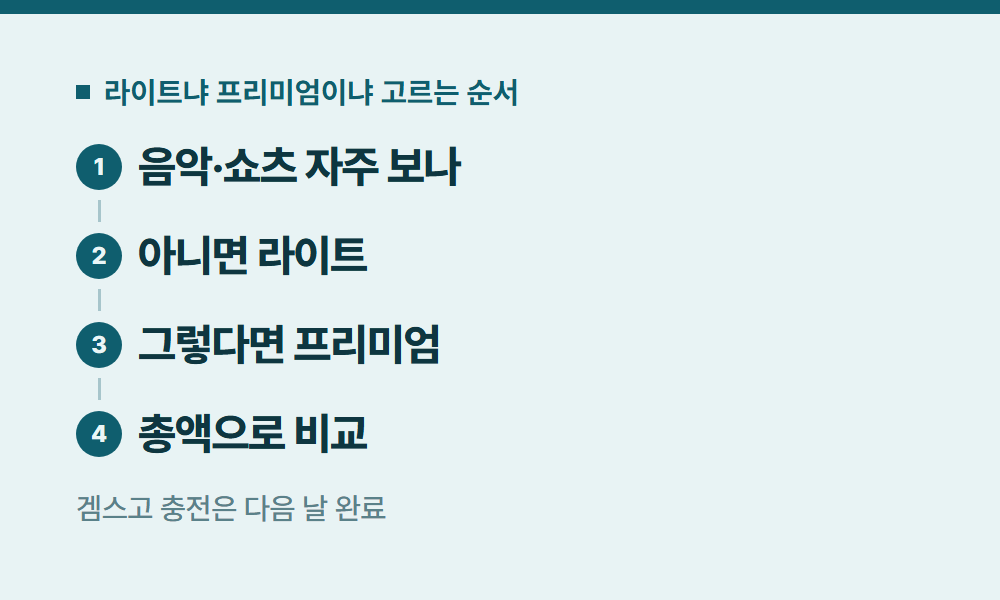 유튜브프리미엄라이트 라이트냐 프리미엄이냐 고르는 순서