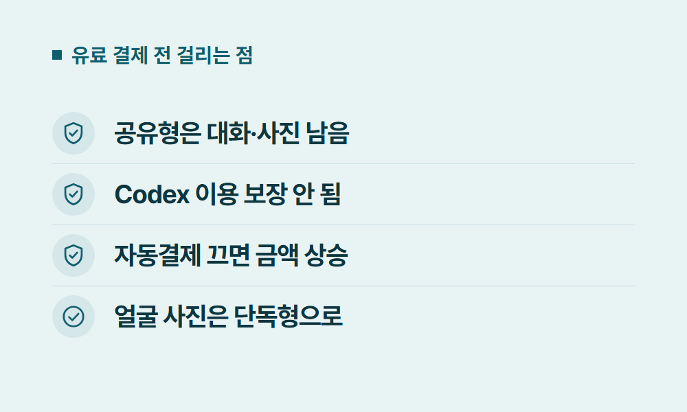 GPT 유료 결제 전 걸리는 점