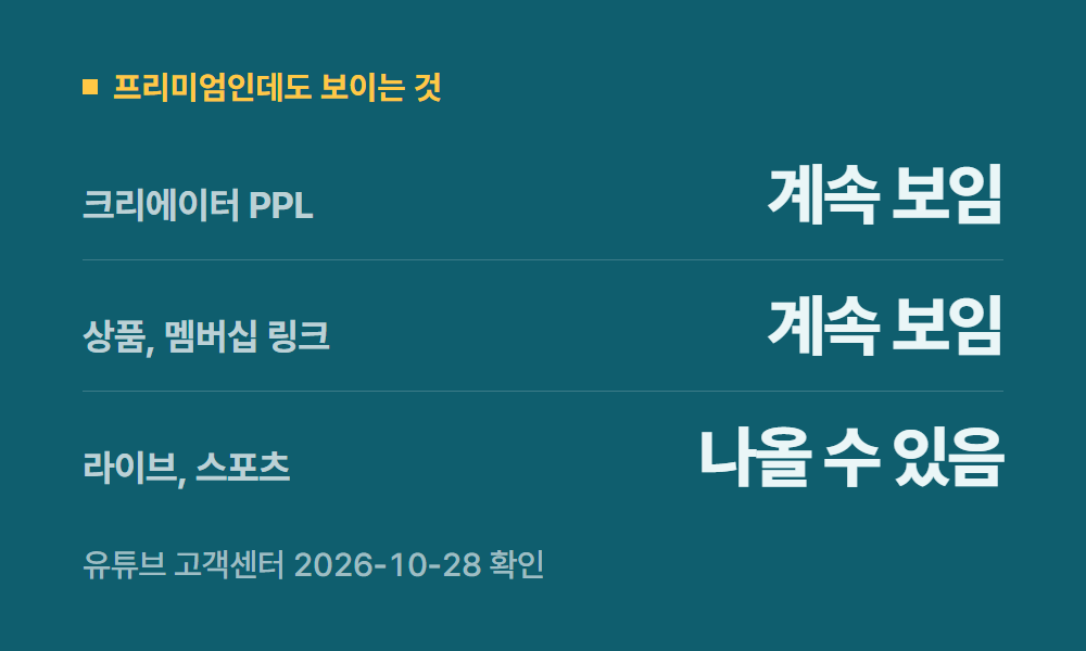 광고없는유튜브 프리미엄인데도 보이는 것