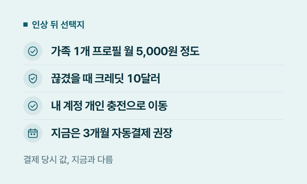유튜브프리미엄요금 인상 뒤 선택지