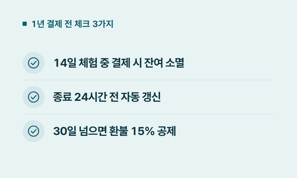 듀오링고1년 1년 결제 전 체크 3가지