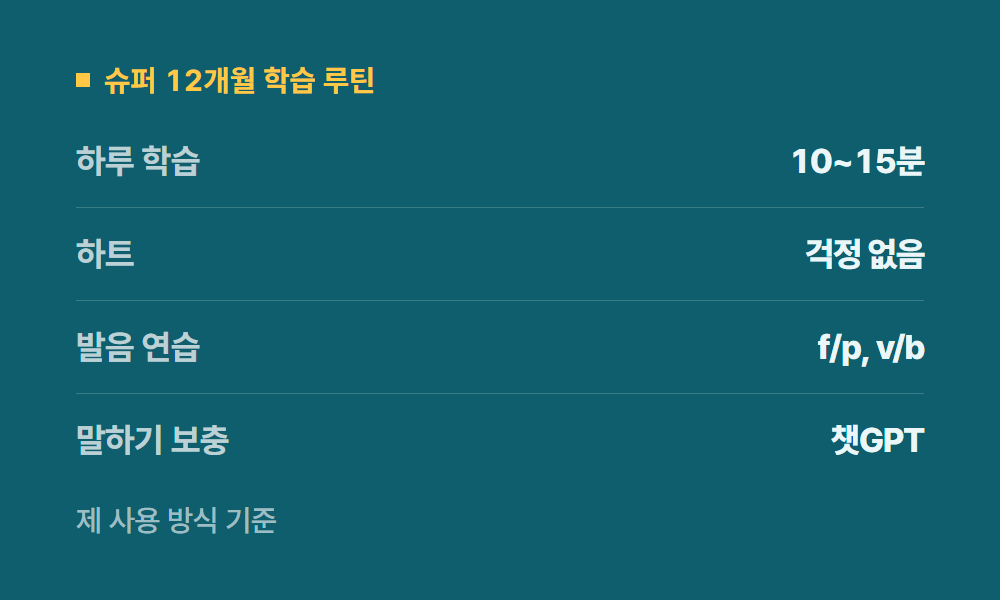 듀오링고1년 슈퍼 12개월 학습 루틴