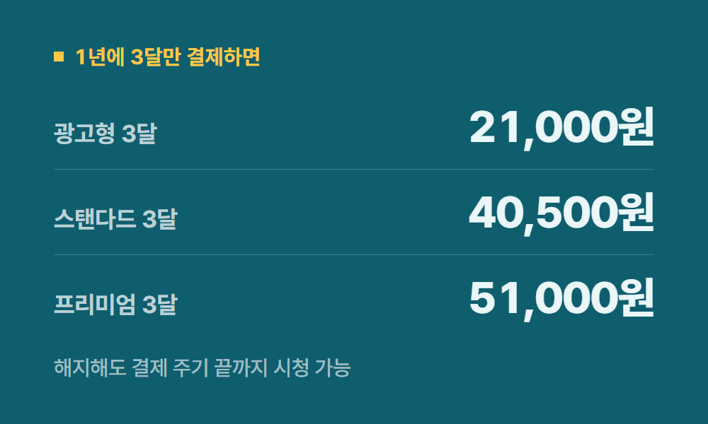 넷플릭스싸게보는법 1년에 3달만 결제하면