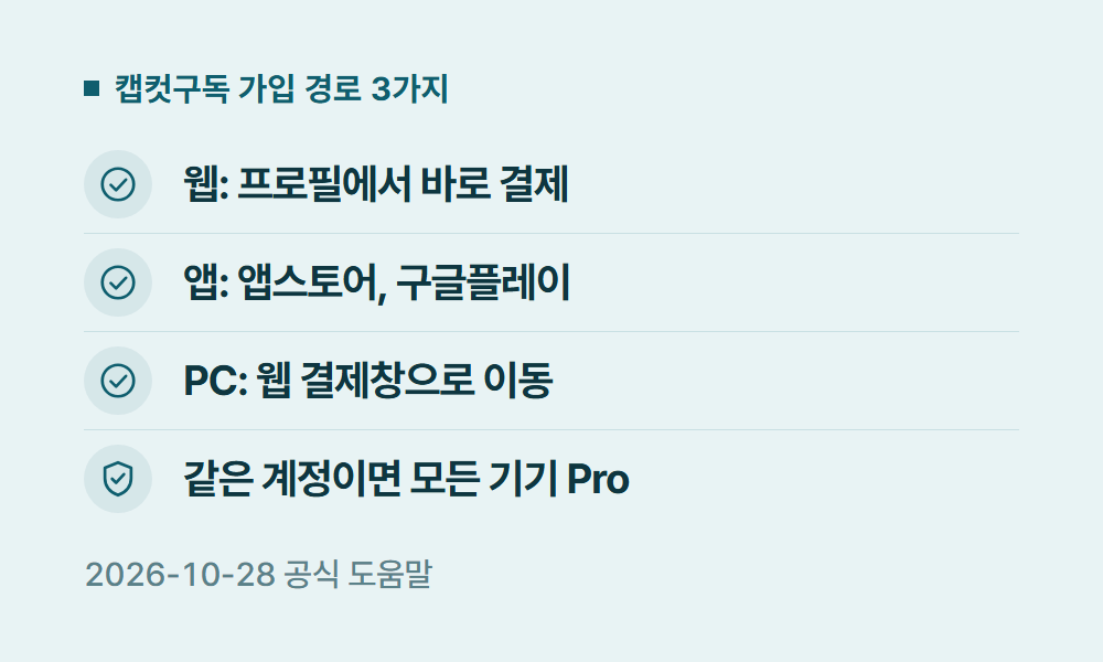 캡컷구독 캡컷구독 가입 경로 3가지