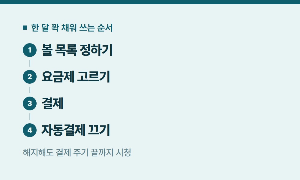 디즈니플러스한달 한 달 꽉 채워 쓰는 순서