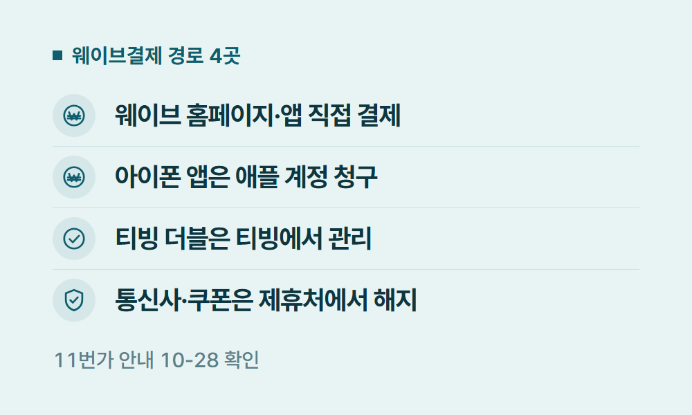 웨이브결제 웨이브결제 경로 4곳